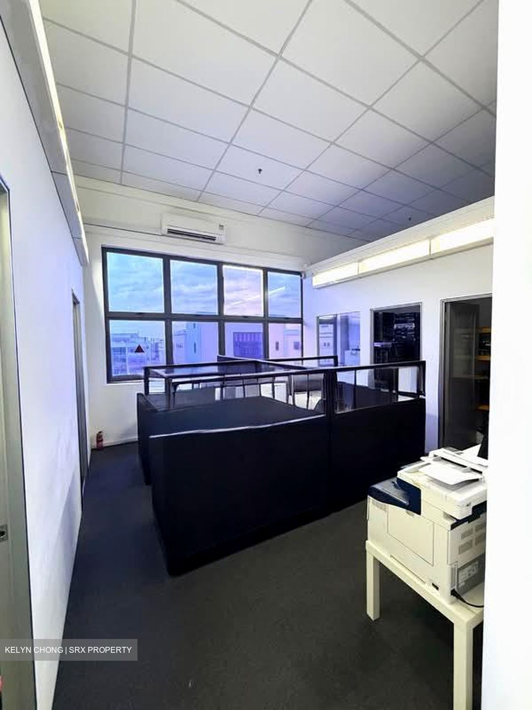 Focus One (D14), Factory #540479541